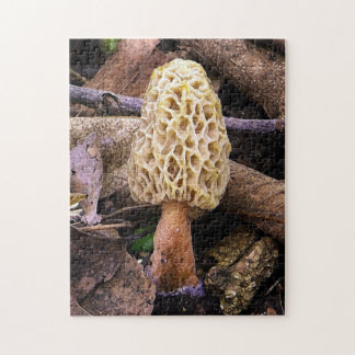 Gelber Morchel-Pilz Puzzle