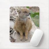 Gelber Mungo Mousepad (Mit Mouse)
