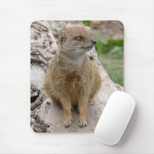 Gelber Mungo Mousepad (Mit Mouse)