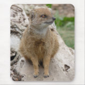 Gelber Mungo Mousepad (Vorne)