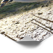 Gelber Nachtreiher, Florida Poster (Ecke)