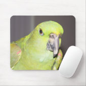 Gelber-Naped Amazonas-Papagei Mousepad (Mit Mouse)