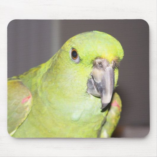 Gelber-Naped Amazonas-Papagei Mousepad (Vorne)