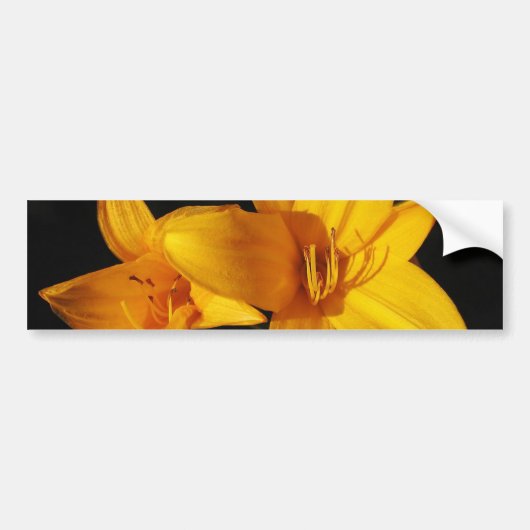 Gelber Orchid-Autoaufkleber Autoaufkleber (Vorne)