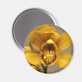 Gelber Orchid-Magnet Magnet (Vorderseite/Rückseite)