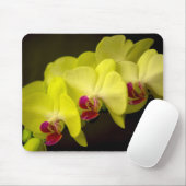 Gelber Orchid - Mousepad (Mit Mouse)