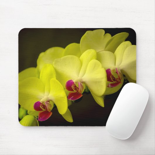Gelber Orchid - Mousepad (Mit Mouse)