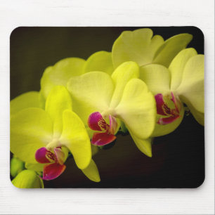 Gelber Orchid - Mousepad