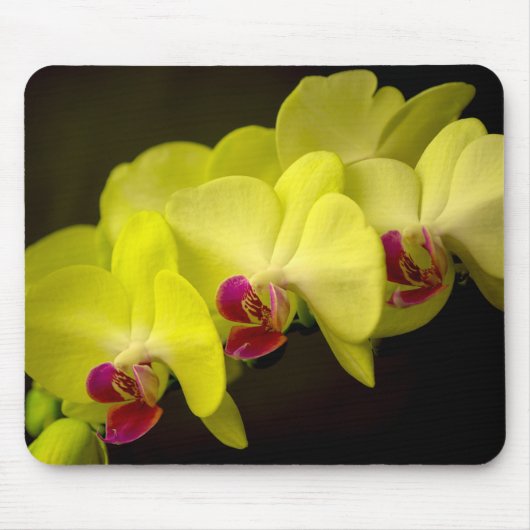 Gelber Orchid - Mousepad (Vorne)