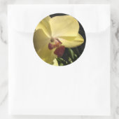 Gelber Orchid-Umschlag Aufkleber (Tasche)