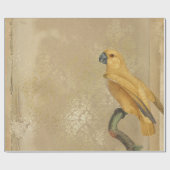 Gelber Papagei auf Tan und Gold Geschenkpapier (Flach)