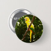 Gelber Papagei Button (Vorne & Hinten)