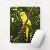 Gelber Papagei Mousepad (Mit Mouse)