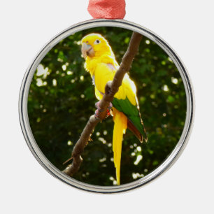 Gelber Papagei Ornament Aus Metall