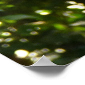 Gelber Papagei Poster (Ecke)