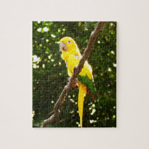 Gelber Papagei Puzzle