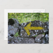 Gelber Pfeil auf Zaun-Postkarte Postkarte (Vorne/Hinten)
