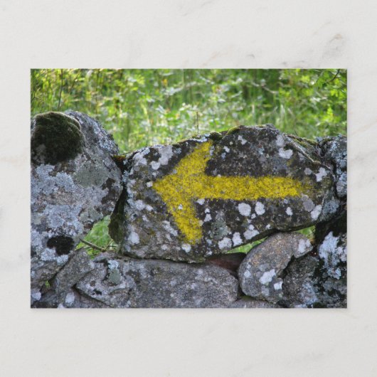Gelber Pfeil auf Zaun-Postkarte Postkarte (Vorderseite)