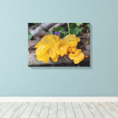 Gelber Pilz Leinwanddruck (Insitu (Holzboden))