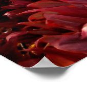 Gelber Poinciana-Baum und Rote Ti-Pflanze Poster (Ecke)