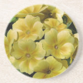 Gelber Primrose Untersetzer (Vorne)