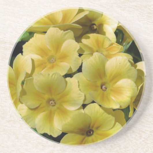 Gelber Primrose Untersetzer (Vorne)