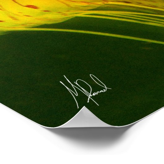 Gelber Quallen Poster (Ecke)