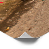 Gelber Regenschirm und ein weibliches Poster (Ecke)