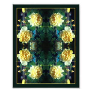 Gelber Rose Blume Spieglein Abstrakt 8x10 Fotodruck