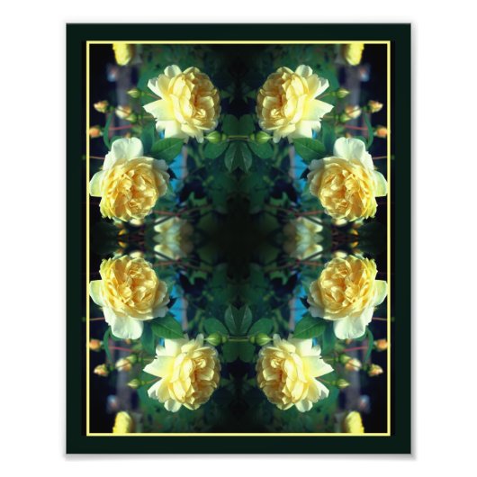 Gelber Rose Blume Spieglein Abstrakt 8x10 Fotodruck (Vorne)