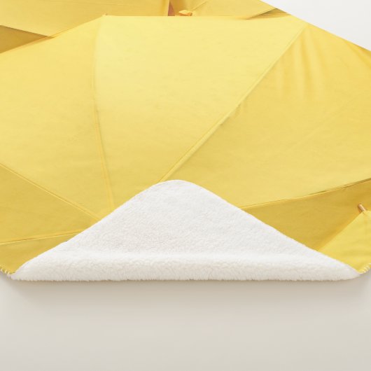 Gelber Schirm Sherpadecke (3/4)