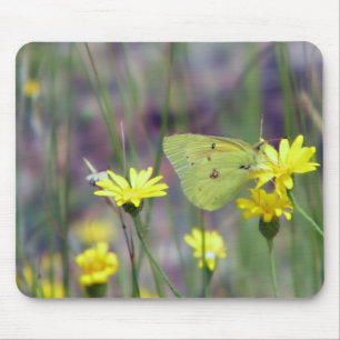 Gelber Schmetterling auf gelber Blume Mousepad