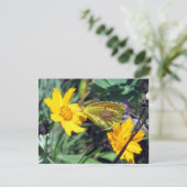 Gelber Schmetterling auf orangefarbenen Blume Postkarte (Stehend Vorderseite)