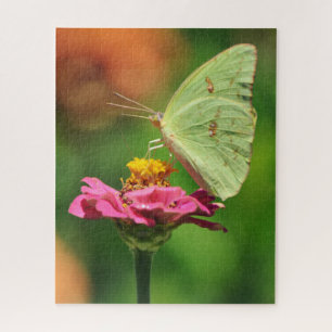 Gelber Schmetterling auf rosa Blume Natur großes P Puzzle