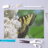 Gelber Schmetterling auf weißen Fliedern Seidenpapier (Handwerk)