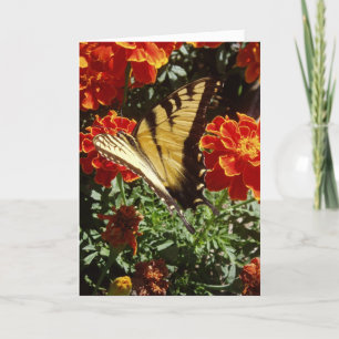 "Gelber Schmetterling" erhält Wohlfühlkarte Karte