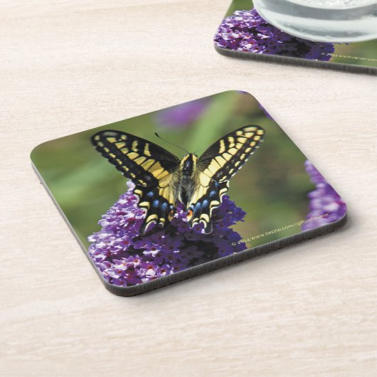 Gelber Schmetterling I - Set von 6 Untersetzer (Linke Seite)