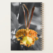 Gelber Schmetterling Orchid-Blume Planer (Rückseite)