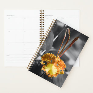 Gelber Schmetterling Orchid-Blume Planer