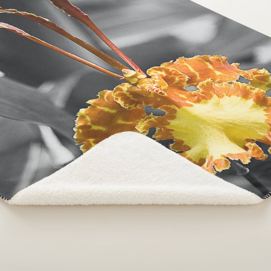 Gelber Schmetterling Orchid-Blume Sherpadecke (3/4)