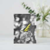 Gelber Schmetterling Postkarte (Stehend Vorderseite)