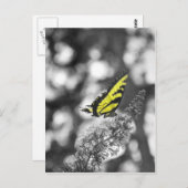 Gelber Schmetterling Postkarte (Vorne/Hinten)