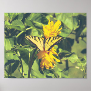 Gelber Schmetterling und Blume Poster