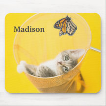 Gelber Schmetterling und Kätzchen gefangen im Netz