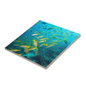 Gelber Schnappfisch am Korallenriff Fliese (Seite)