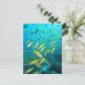 Gelber Schnappfisch am Korallenriff Postkarte (Stehend Vorderseite)