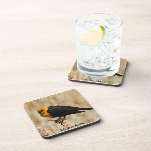 Gelber Schwarzvogel-Untersetzer Getränkeuntersetzer (Rechte Seite)