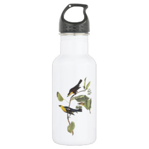 Gelber Schwarzvogel von Audubon Trinkflasche