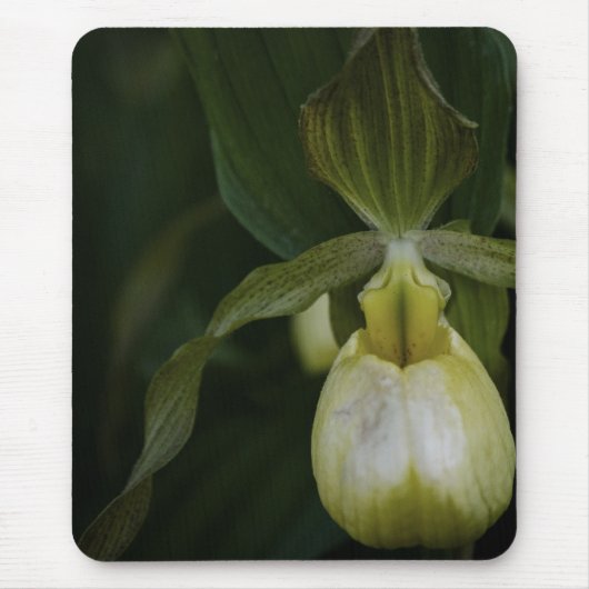 Gelber Slipper 2 Mousepad (Vorne)