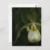 Gelber Slipper 2 Postkarte (Vorne/Hinten)